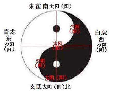 老陽 老陰 少陽 少陰|四象之：少陰、少陽、老陰、老陽，給我們的生命啟示。